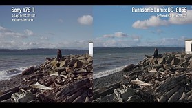 Panasonic Lumix DC-GH5S vs Sony a7S II Log footage comparison
