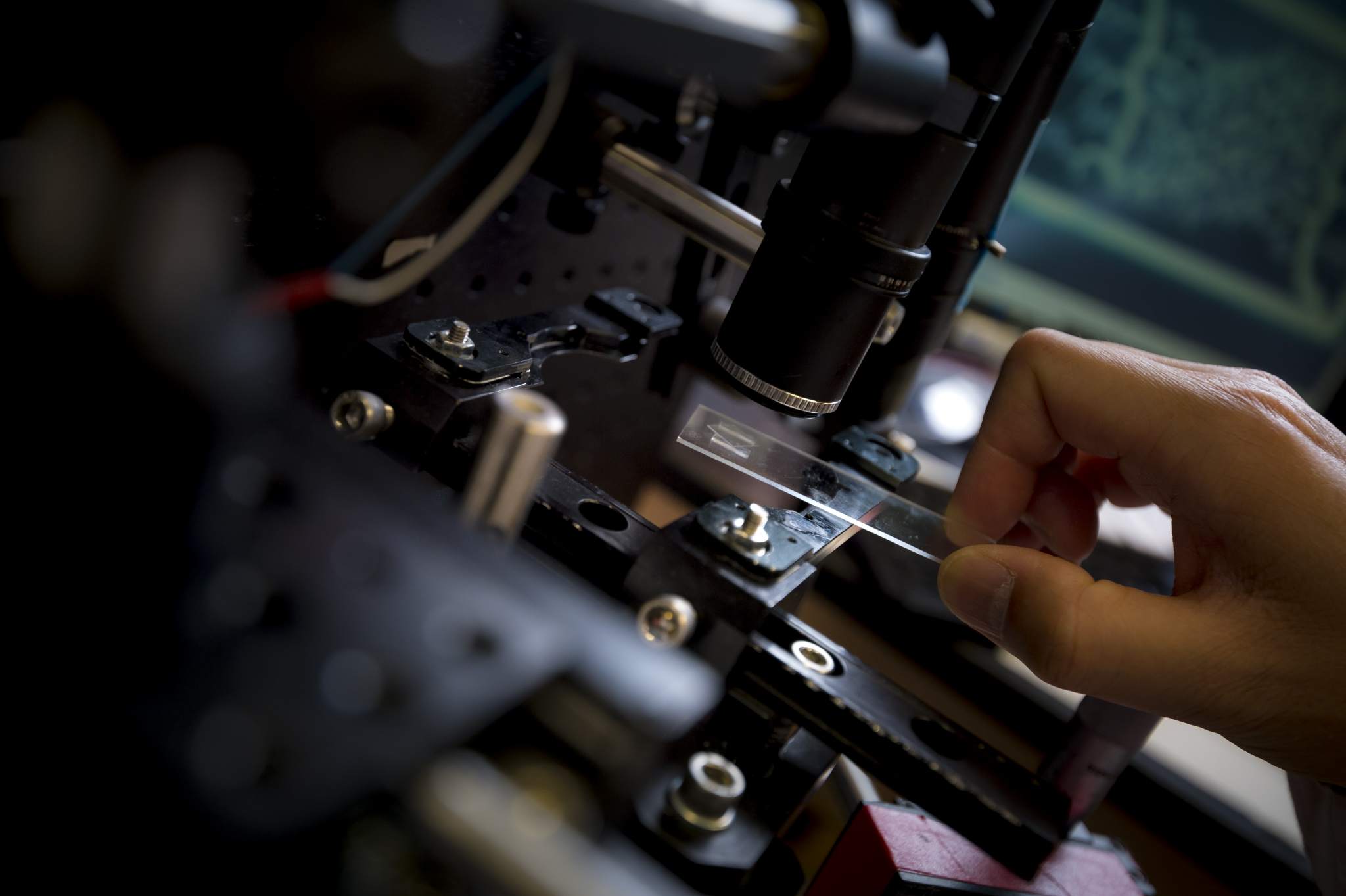 The microscopic 3D printed blood vessel. Photo by Erik Jepsen/UC San Diego Publications.