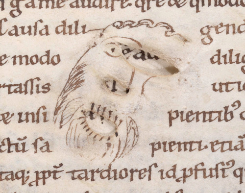 Parchment face
Here’s something special. Last Friday I posted a blog on holes found in the pages of medieval books (The skinny on bad parchment). As in the image above, such defects are usually caused by the parchment maker: he pushed his knife too...