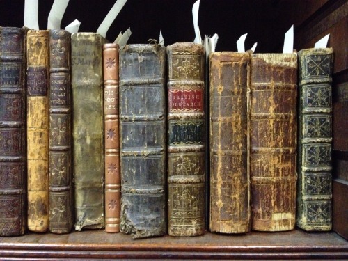 Sleeping beauties
Resting, that is what these old books appear to be doing. And they deserve it. The volumes date from the 17th and 18th centuries and have been on these shelves for several hundreds of years. They are part of York Cathedral Library...