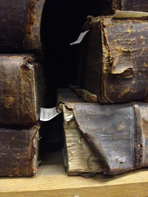 Sleeping beauties
Resting, that is what these old books appear to be doing. And they deserve it. The volumes date from the 17th and 18th centuries and have been on these shelves for several hundreds of years. They are part of York Cathedral Library...