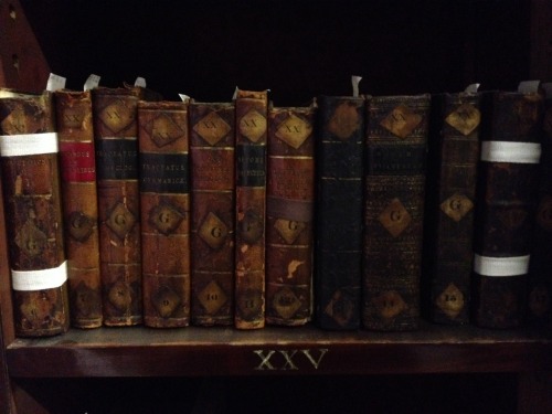 Sleeping beauties
Resting, that is what these old books appear to be doing. And they deserve it. The volumes date from the 17th and 18th centuries and have been on these shelves for several hundreds of years. They are part of York Cathedral Library...