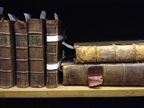 Sleeping beauties
Resting, that is what these old books appear to be doing. And they deserve it. The volumes date from the 17th and 18th centuries and have been on these shelves for several hundreds of years. They are part of York Cathedral Library...