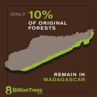 8 Billion Trees Visual Infographic of the Island of Madagascar(Island in Indian Ocean) showing the devastating effects of deforestation as only 10% of the original forests remain, highlighted in green