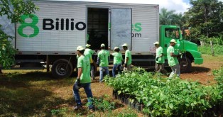 Seven 8 Billon Trees team members wearing green shirts and unloading native saplings from a large truck to reverse climate change and habitat fragmentation of the Amazon Rainforest.