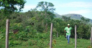 8 Billion Team member wearing 8 Billion Trees brand t-shirt and hat runs through a field around a fence with a forest in the background deep in the central Brazilian state of Tocantins