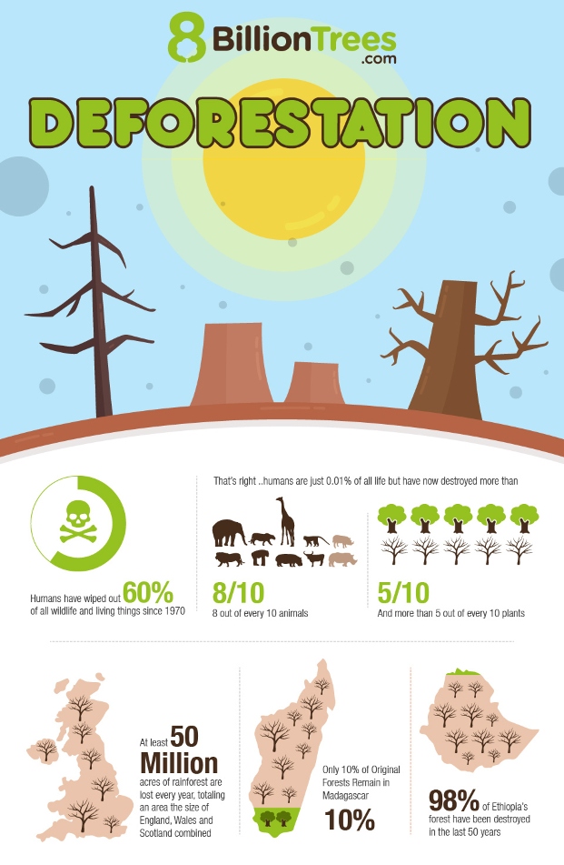 Infographic displaying over a dozen facts regarding deforestation with graphic images of trees, animals, and humans from top to bottom; humans have wiped out 8 out of every 10 animals, 5 out of every 10 trees, and 60 percent of all wildlife since 1970