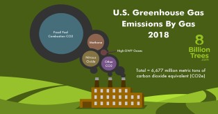 8 Billion Trees infographic image displaying the greenhouse gases with a factory graphic image in the middle with circles of gases emitting into the atmosphere from left to right; carbon dioxide from fossil fuels combustion, methane, nitrous oxide, and other carbon dioxide all add up to 6,667 million metric tons of carbon dioxide