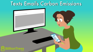 Woman holding a cell phone wonders about the text and emails carbon emissions and how much carbon footprint is created for texts and how much carbon footprint comes from emails.