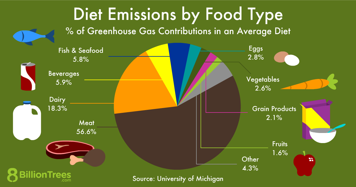 Diet emissions by food type pie chart graphic. 