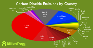 An 8 Billion Trees pie chart showing carbon dioxide emissions by country, with the US, China, and India comprising 50% of all global emissions.