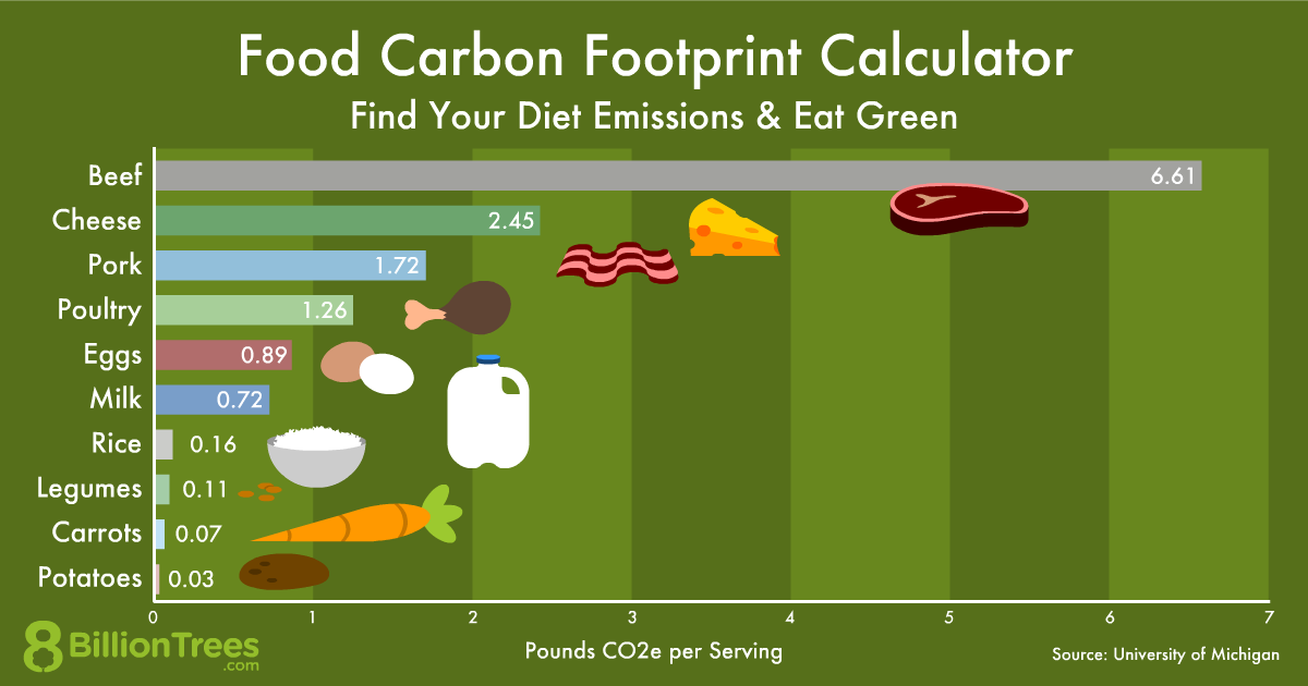 Graphic illustrating the food carbon footprint of various products such as meat and cheese. 