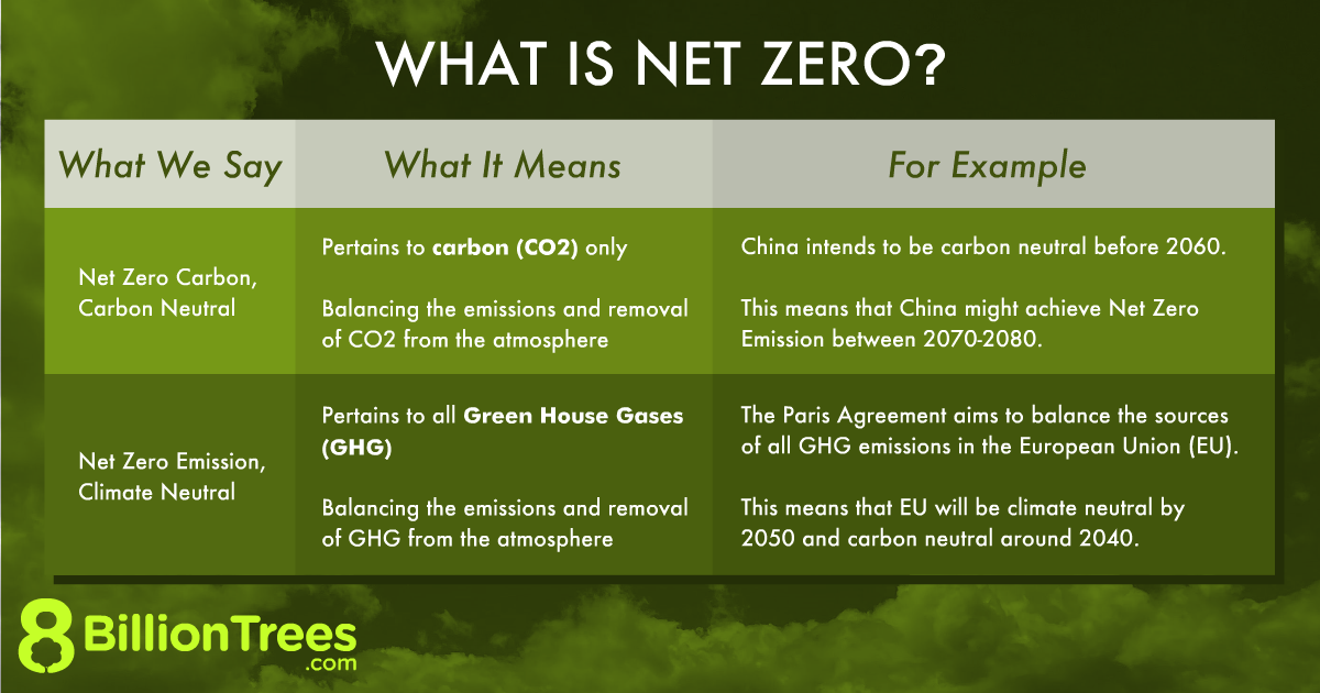 An 8 Billion Trees graphic explaining what net zero means in the context of climate neutrality vs. carbon neutrality.