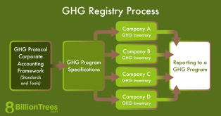 An 8 Billion Trees graphic of the process of a GHG registry