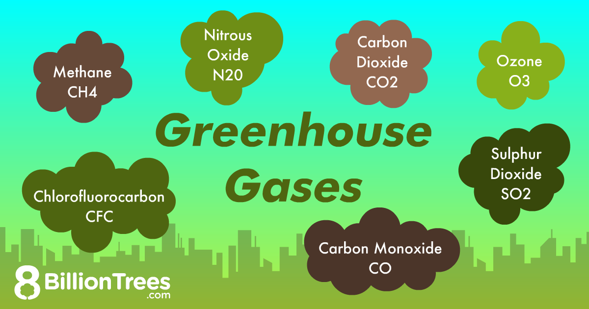 Various types of greenhouses gases graphic by 8 Billion Trees. 