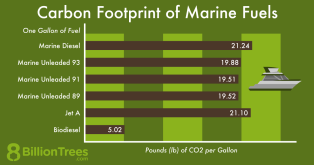 An 8 Billion Trees graphic showing the carbon footprints of various types of marine fuel used in boats and yachts.