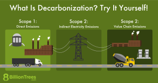 An 8 Billion Trees demonstrating the steps to Decarbonization.