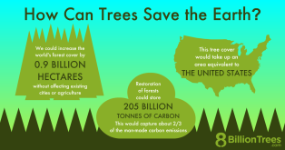 An 8 Billion Trees graphic showing how trees can save the planet by sequestering carbon dioxide.