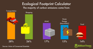 An 8 Billion Trees graphic showing where the majority of carbon dioxide emissions come from for a person, with transportation having the most at 28%, and food having the least, at 14%.