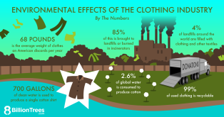 An 8 Billion Trees graphic illustrating the negative environmental effects of the clothing industry, including 85% of clothing ends up in landfills or burned in incinerators.