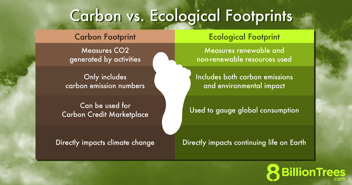 An 8 Billion Trees graphic charting an ecological footprint versus a carbon footprint, with their definitions, how it's measured, and how it's calculated.