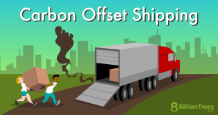 Carbon offset shipping emissions explained while two people carry a large box to the back of a truck that is spewing a sipping carbon footprint.