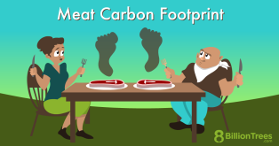 Meat caron footprint shown with two people eating steaks outdoors, with drak brown footprints rising form the plates of meat, and both people wondering what is the carbon footprint of eating meat?