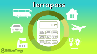 Terrapass carbon footprint calculator computes the amount of carbon footprint made by individuals and businesses' based on transportation usage and electricity consumption.