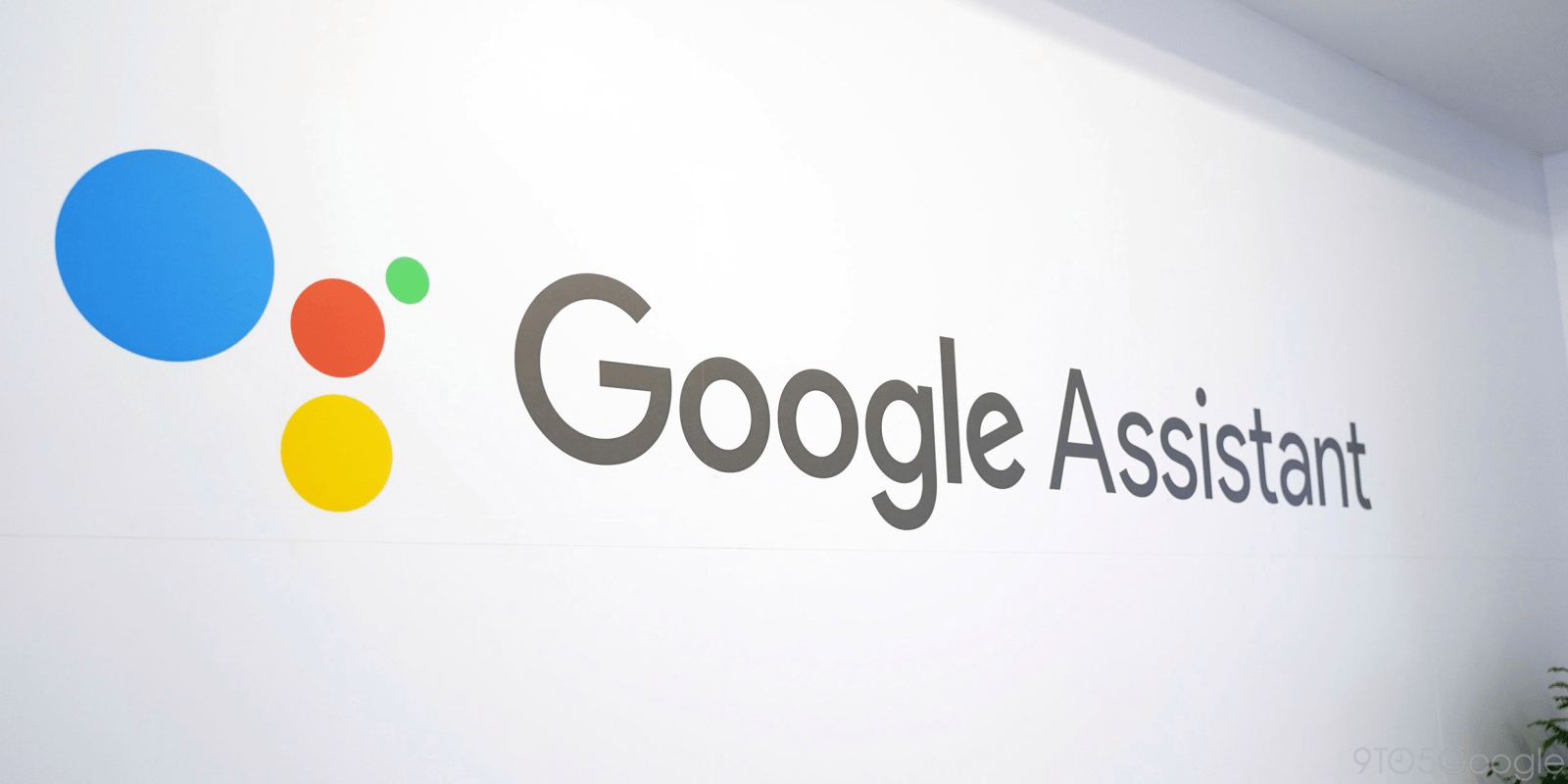 google assistant hq trivia