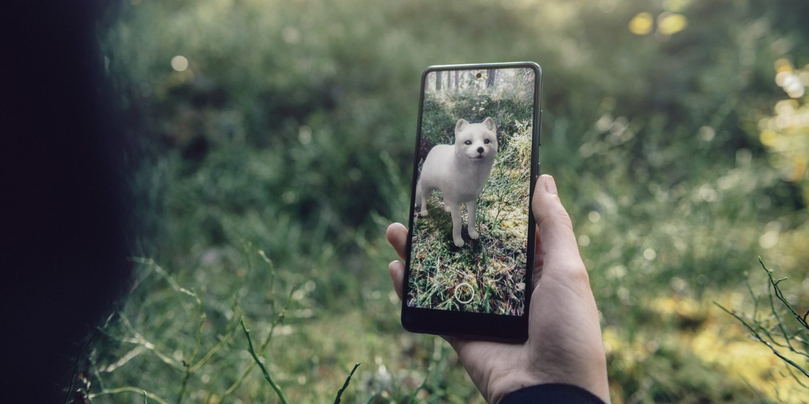 Arctic Fox in Google's 3D animals