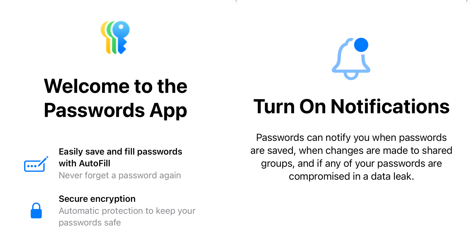 Passwords app iOS 18