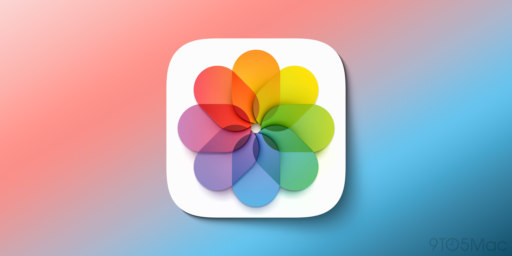 Apple Photos logo icon