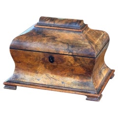 19th Century English Regency Burl Walnut Tea Caddy