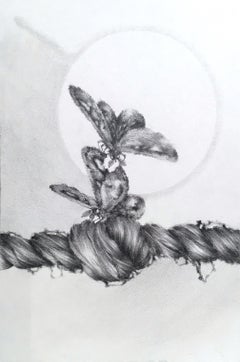 Chapter Fine Focus - Contemporary Pencil Drawing Moths on Braid of Hair, 2017