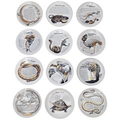 Set of 12 Custom Commissioned Plates by Piero Fornasetti for Fleming Joffe Ltd