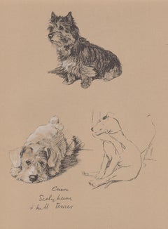 Cairn, Sealyham e Bull Terrier, litografia per cani di Cecil Aldin del 1930