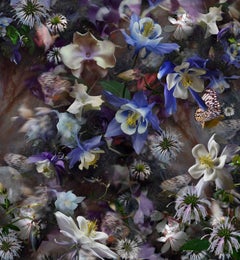 Columbine: The Mystery of Five Doves - Botanical White Violet Blue Flowers, 2017