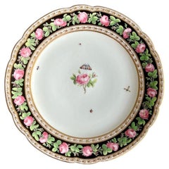 Paris Clignancourt Plate, Black, Pink Roses, Butterflies and Bugs, 1780-1790