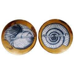 Piero Fornasetti Porcelain Seashell Plates, Conchyliorum Pattern