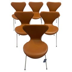 Series Set of six Seven Chairs, Model 3107, Soft leather, Walnut Arne Jacobsen