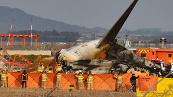 Aviation expert casts doubt on bird strike theory in deadly South Korean plane crash: 'Doesn't make sense'