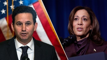 Democratic lawmaker hits Kamala Harris, Dems for using 'weird,' unfamiliar language after election loss