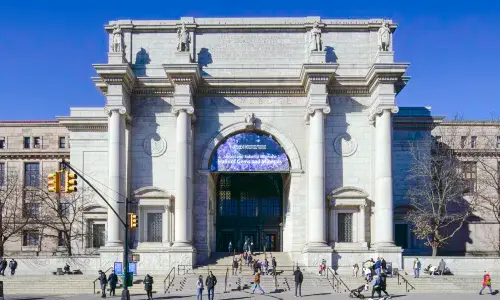 American Museum of Natural History