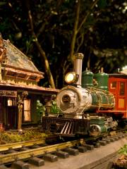 Holiday Train Show