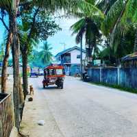 Moalboal Sardine Run