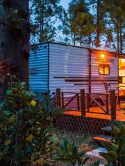 Dongping Forest Park RV Camping Site