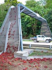 Crabbing Bridge