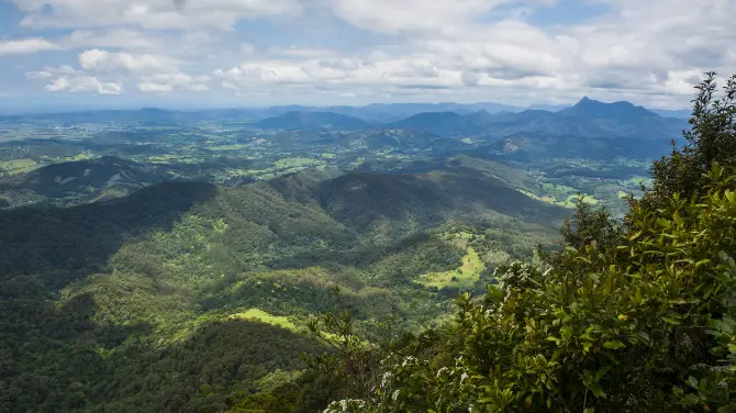 5_Springbrook National Park