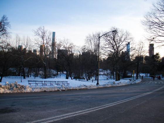 Parc du Mont-Royal