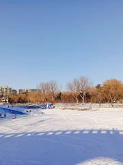 Taoranting Park Ice Rink